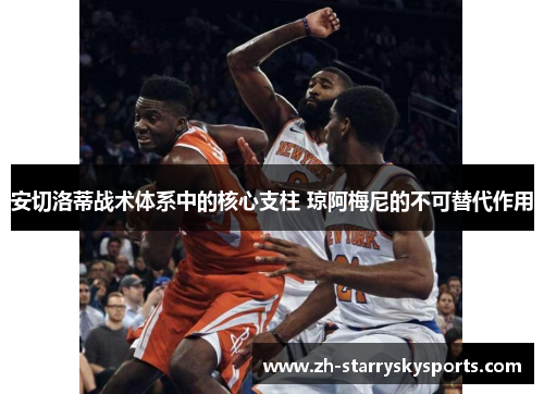 安切洛蒂战术体系中的核心支柱 琼阿梅尼的不可替代作用