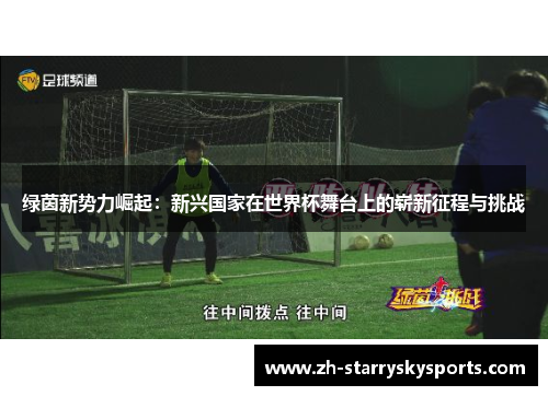 绿茵新势力崛起：新兴国家在世界杯舞台上的崭新征程与挑战