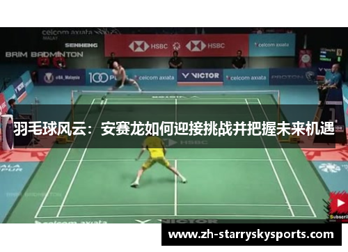 羽毛球风云：安赛龙如何迎接挑战并把握未来机遇